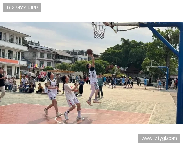 篮球风云再起 球场上的拼搏与梦想如何定义新时代的竞技精神